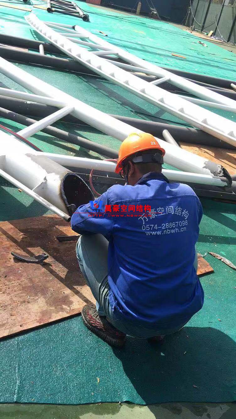 網球中心膜結構